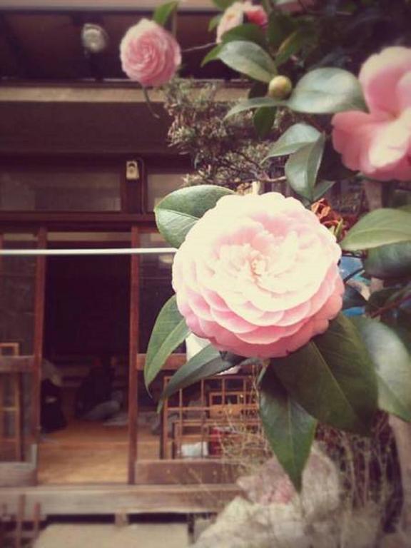 Gomaharu Guesthouse Osaka Esterno foto